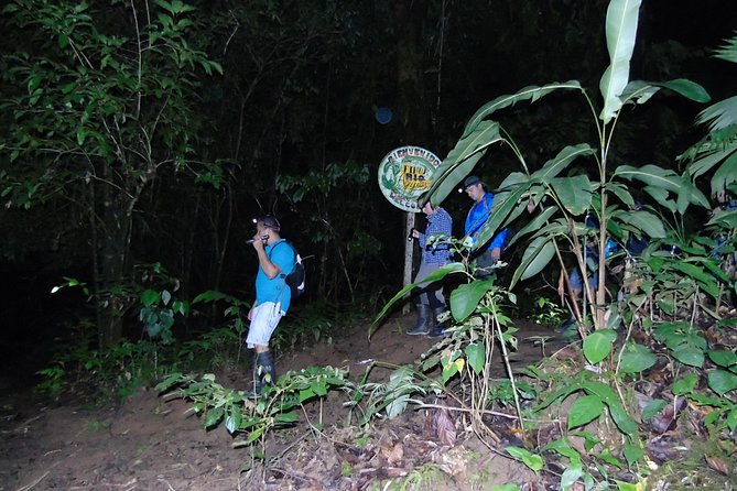 Nativos Corcovado Night Hike in DrakeBay - Key Points