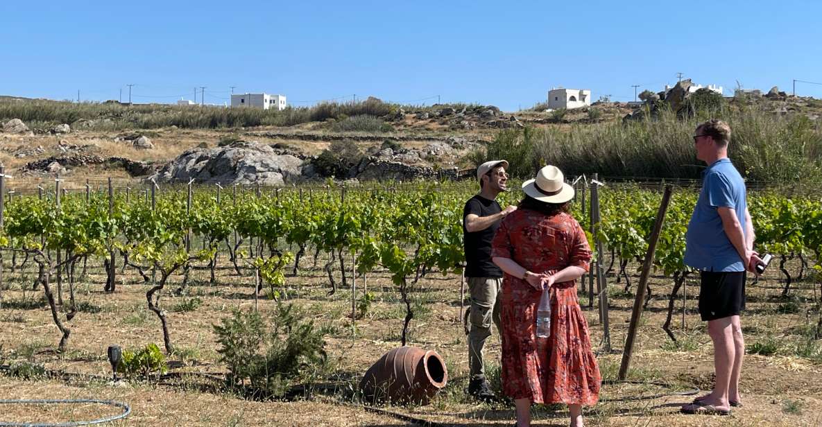 Naxos: Private Vineyard Tour & Wine Tasting With an Expert - Key Points