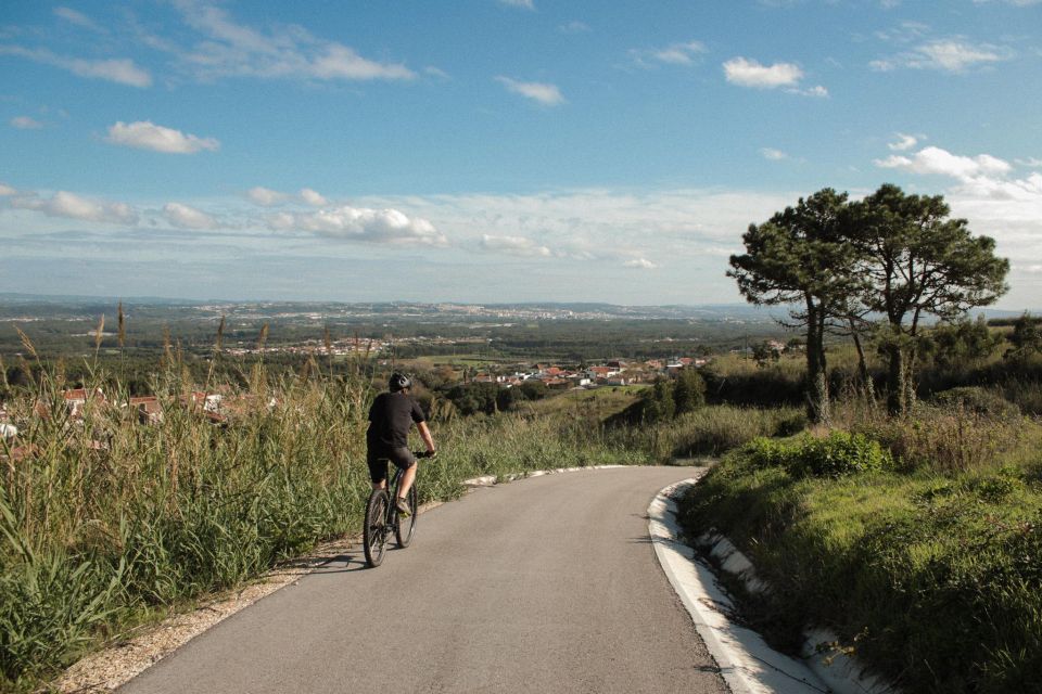 Nazaré: Mountain Bike Tour - Tour Details