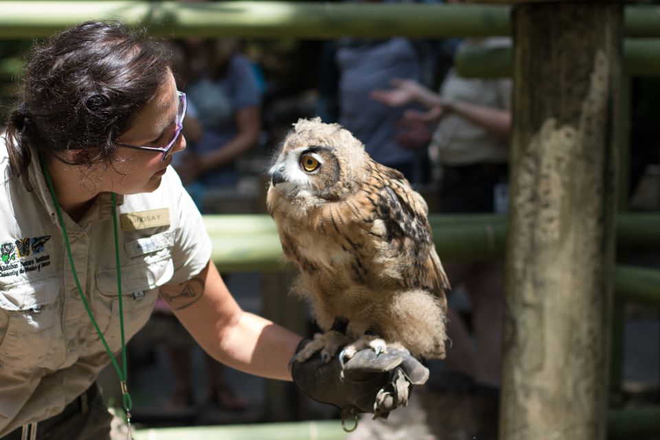 New Orleans: Audubon Zoo Ticket and Combination Option - Key Points