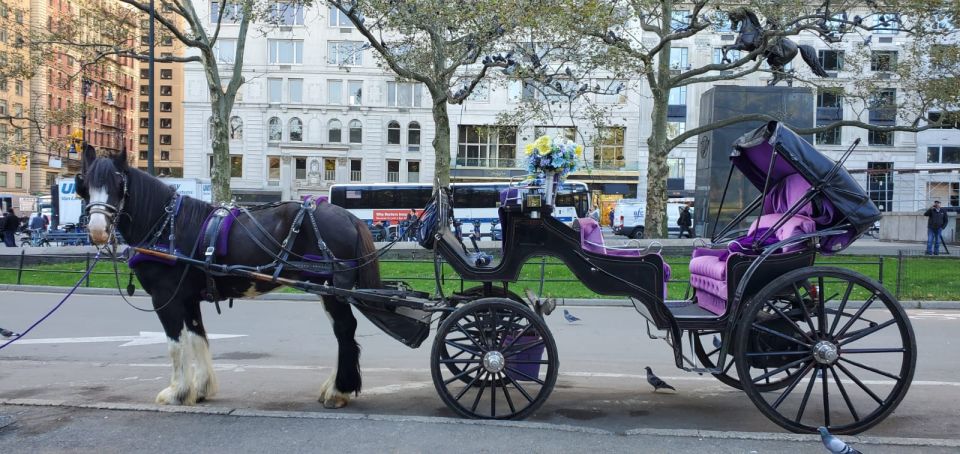 New York City: Private Horse Carriage Tour - Key Points