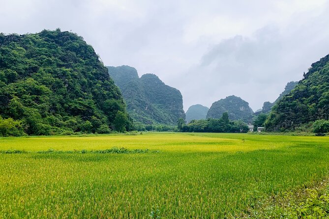 Ninh Binh Full Day Trip From Hanoi To Hoa Lu, Trang An, Mua Cave