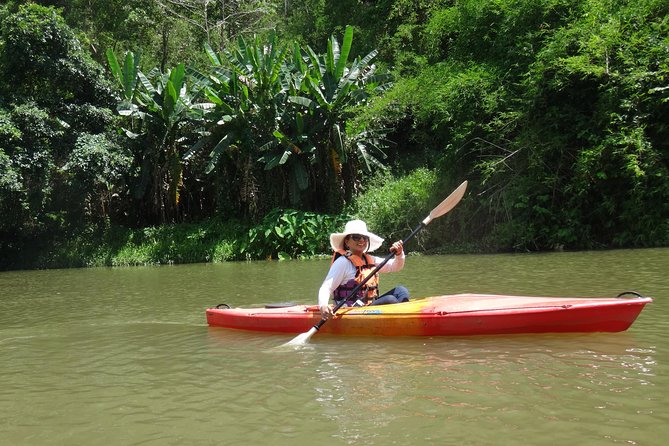 No.1 Chiang Mai: 25km Scenic Mountain Biking & Jungle Kayaking - Key Points