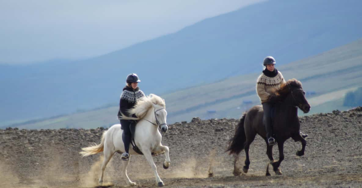 North Iceland: Horseback Riding Tour - Key Points