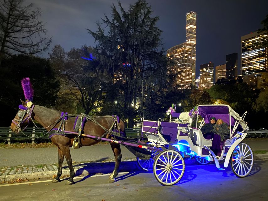 NYC: Guided Central Park Horse Carriage Ride - Key Points