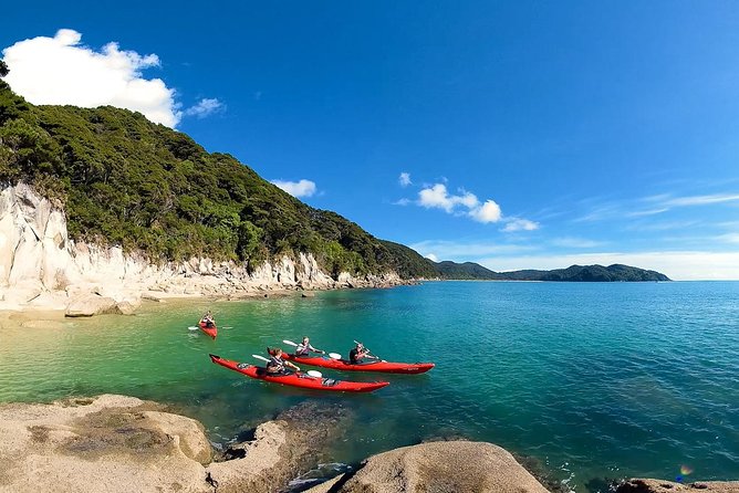 Oarsome Marine Reserve Kayak Tour - Key Points
