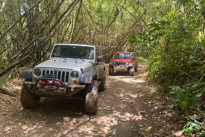 Off-Road Jeep Adventure From Carolina, Puerto Rico - Adventure Overview