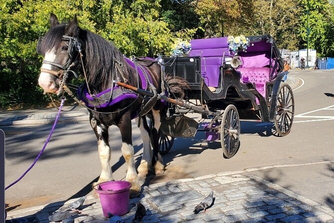 Official Private New York City Central Park Horse Carriage Ride Since 1965™ - Key Points