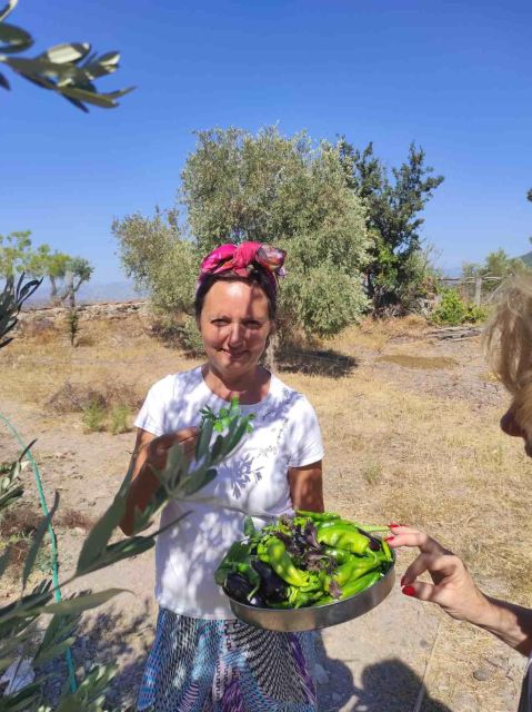 Olive Tasting & Rustic Lunch in Country Home With Live Music - Key Points