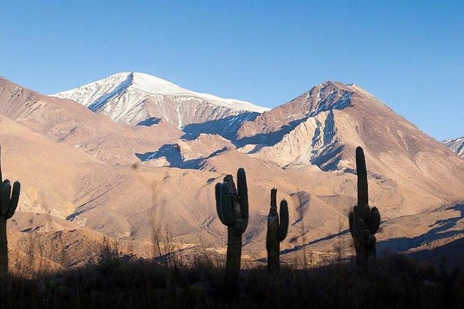 One Day Tour of Cachi and Calchaquí Valleys From Salta - Tour Overview and Highlights