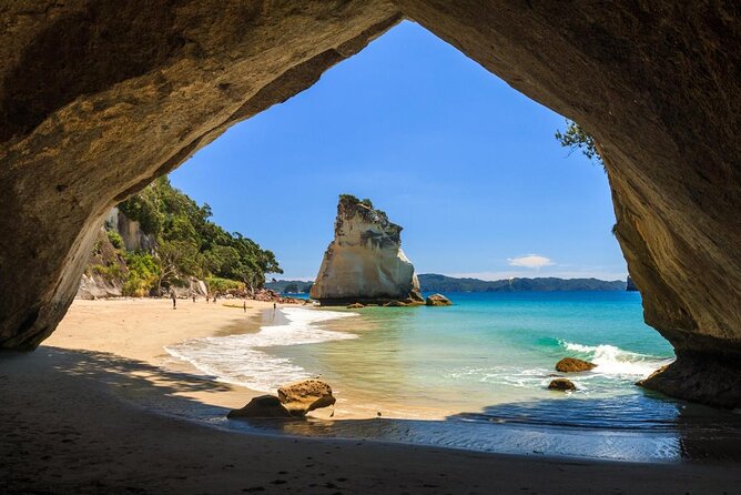 One Hour Cathedral Cove Boat Tour in Hahei - Key Points