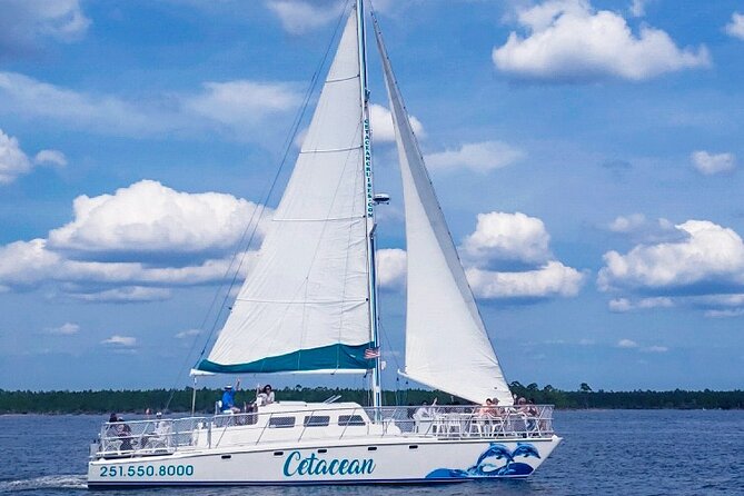 Orange Beach Sun and Sailing Cruise Aboard Catamaran