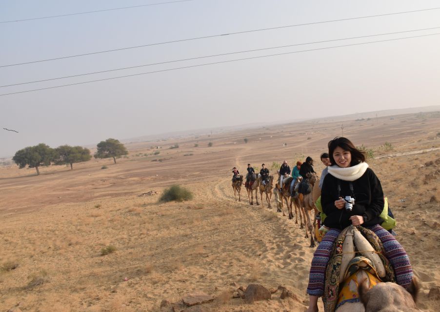 Overnight Luxury Desert Camping With Camel Safari - Key Points