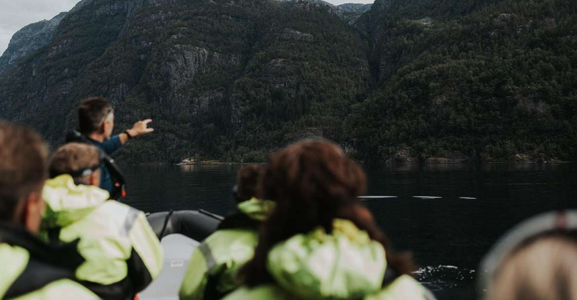 Øystese: Exclusive Fyksesund Private RIB Fjord Safari - Activity Overview