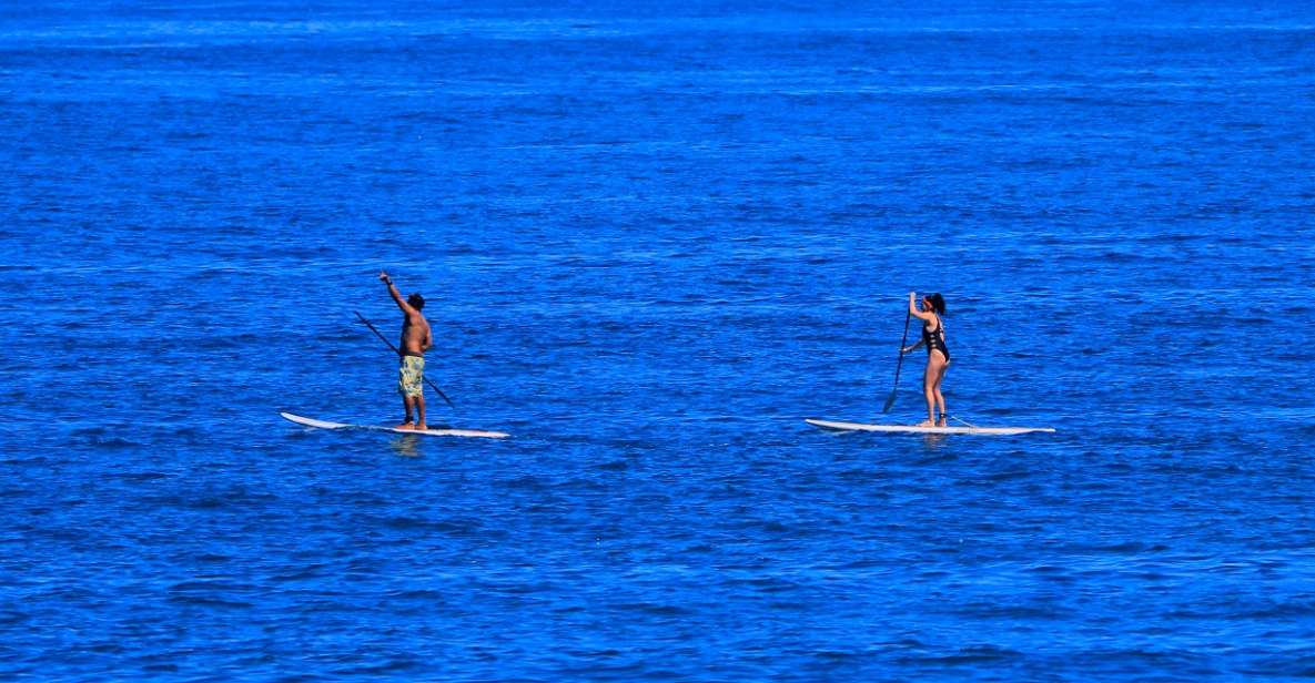 Paddle Board - Key Points