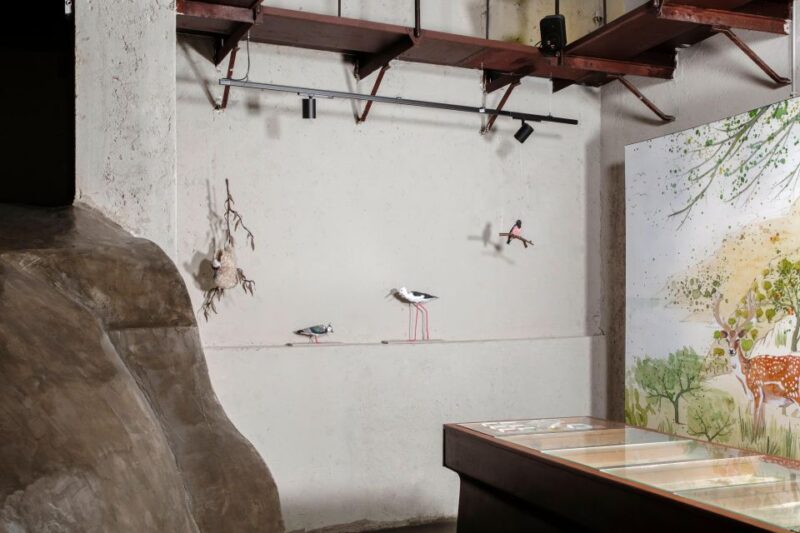 Palermo: Sensorial Experience of Nature and Ecology - Unique Experience Overview