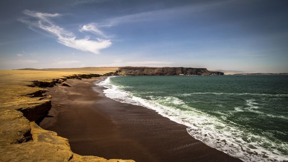 Paracas: Paracas National Reserve Half Day Tour - Key Points