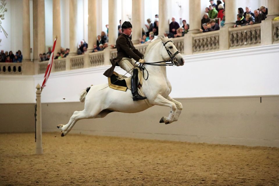 Performance Of The Lipizzans At Spanish Riding School - Good To Know