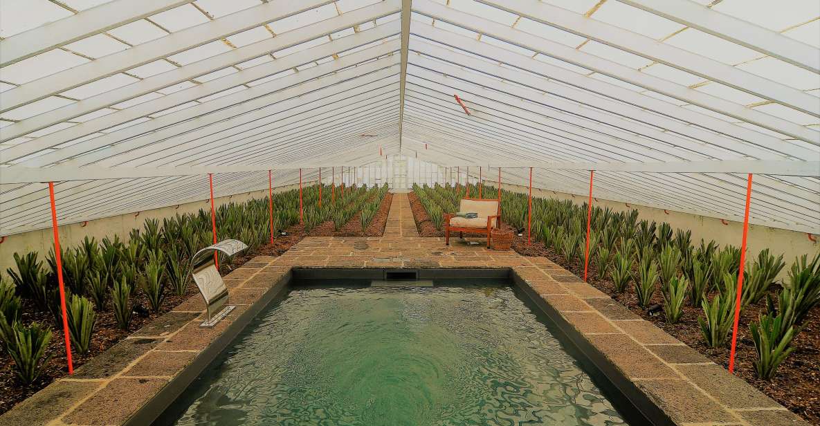 Pineapple Greenhouse Hot Tube and Pineapple Tour - Key Points