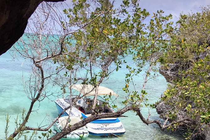 Pirate Cove Off-Road Adventure & Da Conch Shack Visit Experience! - Experience Overview