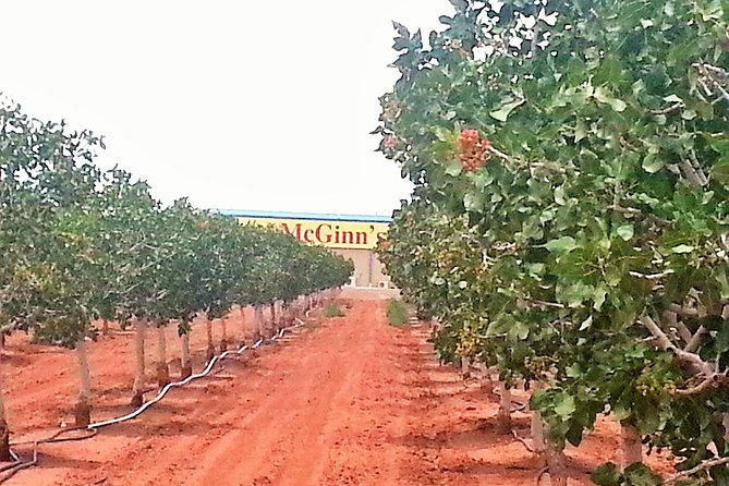 PistachioLand Farm Tour - Tour Highlights and Activities