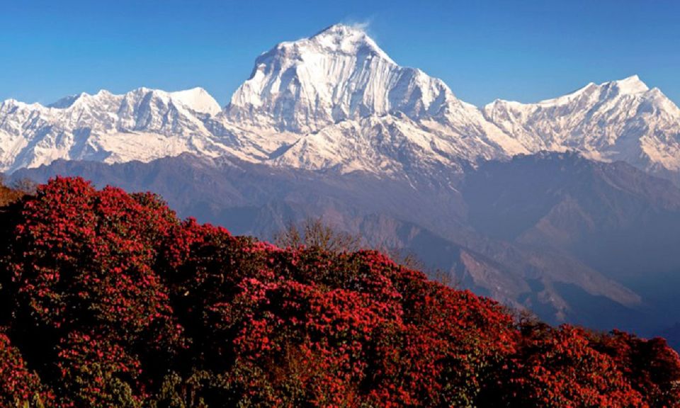 Pokhara: 3-Day Ghorephani & PoonHill Himalayan Paradise Trek - Key Points