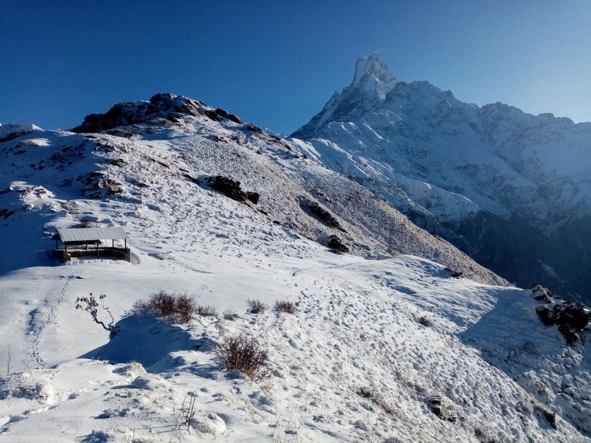 Pokhara: Mardi Himal Base Camp 4500 Meters - Key Points