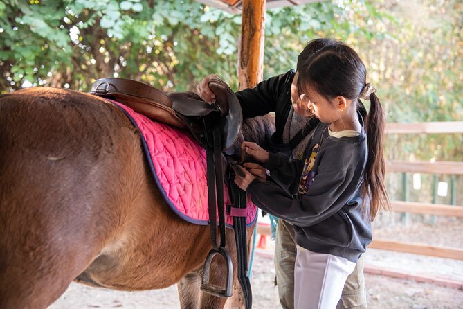 Pony Riding in Luang Prabang - Key Points