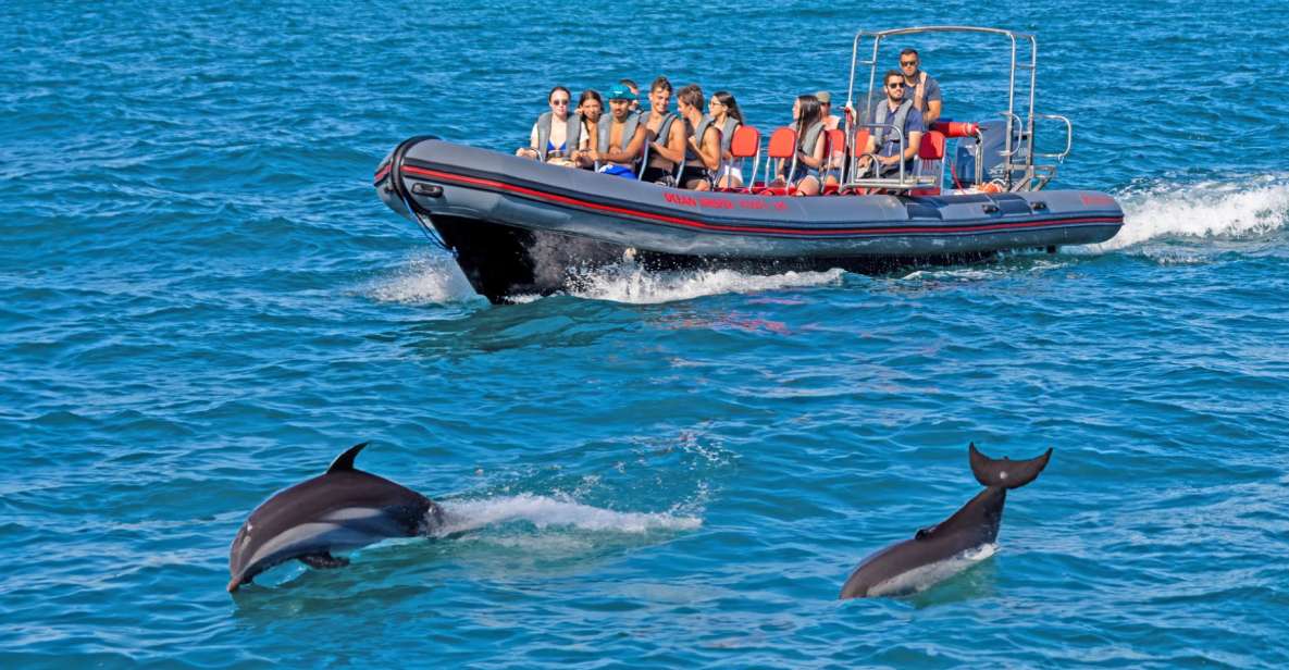 Portimão: Dolphin Watching Tour With Marine Biologist - Key Points