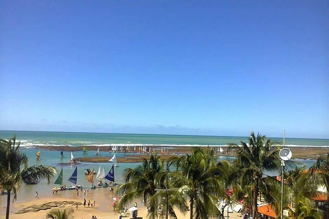 Porto De Galinhas Tour From Maragogi by Top Tours - Key Points
