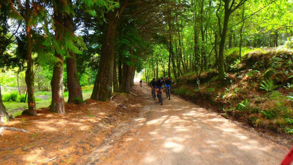 Portugal: Peneda-Gerês National Park by Electric Bike - Key Points