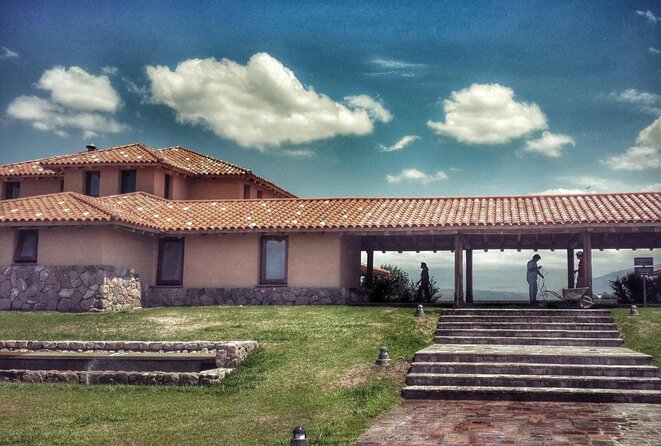 Premium Luján De Cuyo Wine-Tasting Tour in a Small Group - Key Points