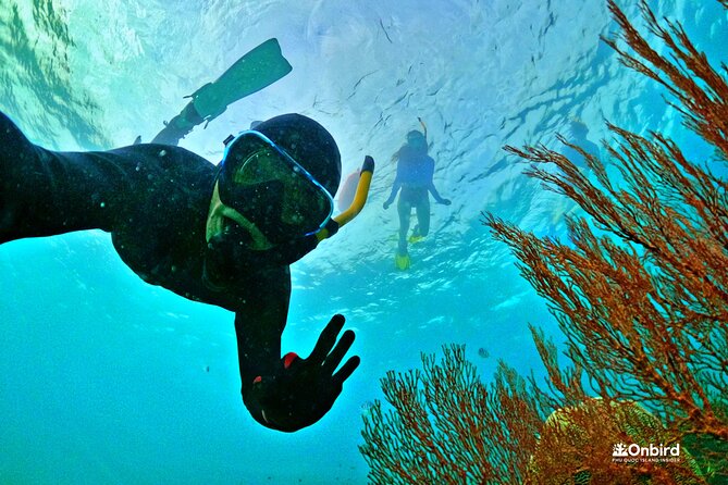 PREMIUM SNORKELING to Explore the Coral Jungle (MAX 8-9 PAX) - Key Points