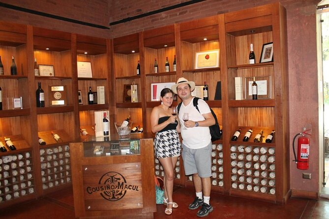 Premium Wine Tour in Viña Cousiño Macul - Key Points