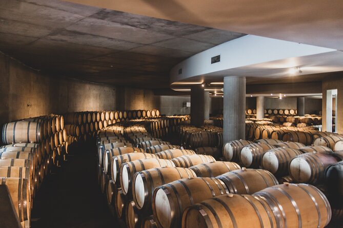 Prestigious Wineries of Uco Valley-Luxury Tasting & Gourmet Lunch - Inclusions and Logistics