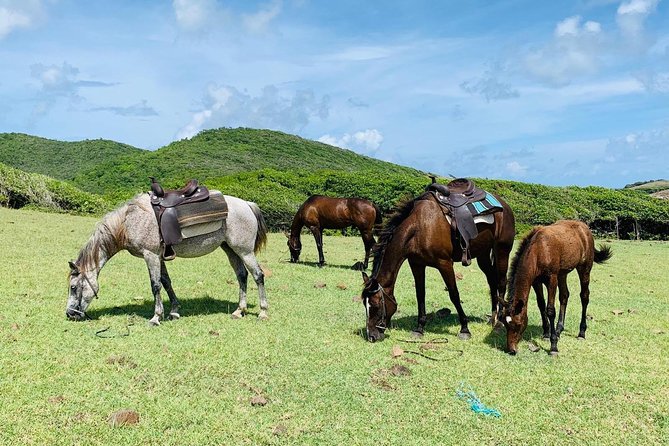 Private Advanced Horseback Beach Ride With Sandy Hoofs St. Lucia - Experience the Ride