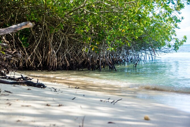 Private Aruba Beach Hop and Snorkel Experience - Tour Overview