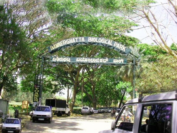 Private Bannerghatta National Park Day Excursion - Key Points