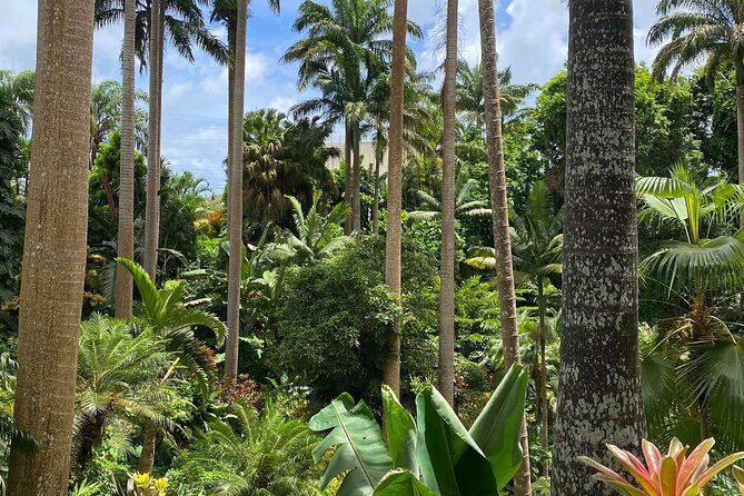 Private Barbados Island Tour - Inclusions and Accessibility