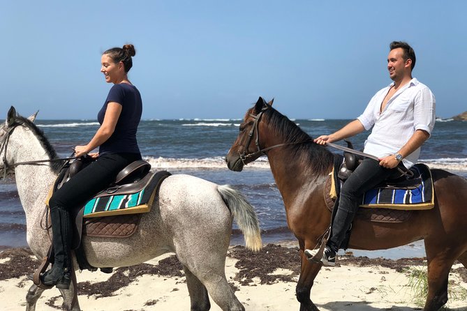 Private Beach Horseback Ride With Sandy Hoofs St. Lucia - Overview of the Experience