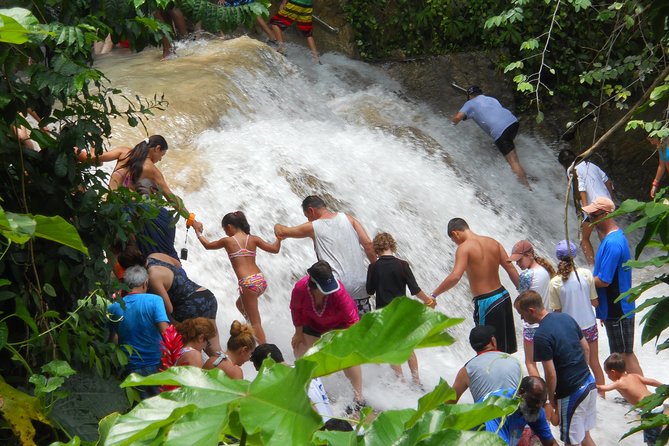 Private Blue Hole and Dunns River Falls Tour From Montego Bay - Key Points