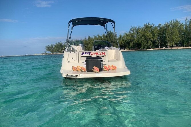 Private Charter - Stingray City, Starfish Point & Snorkeling - Tour Overview and Highlights