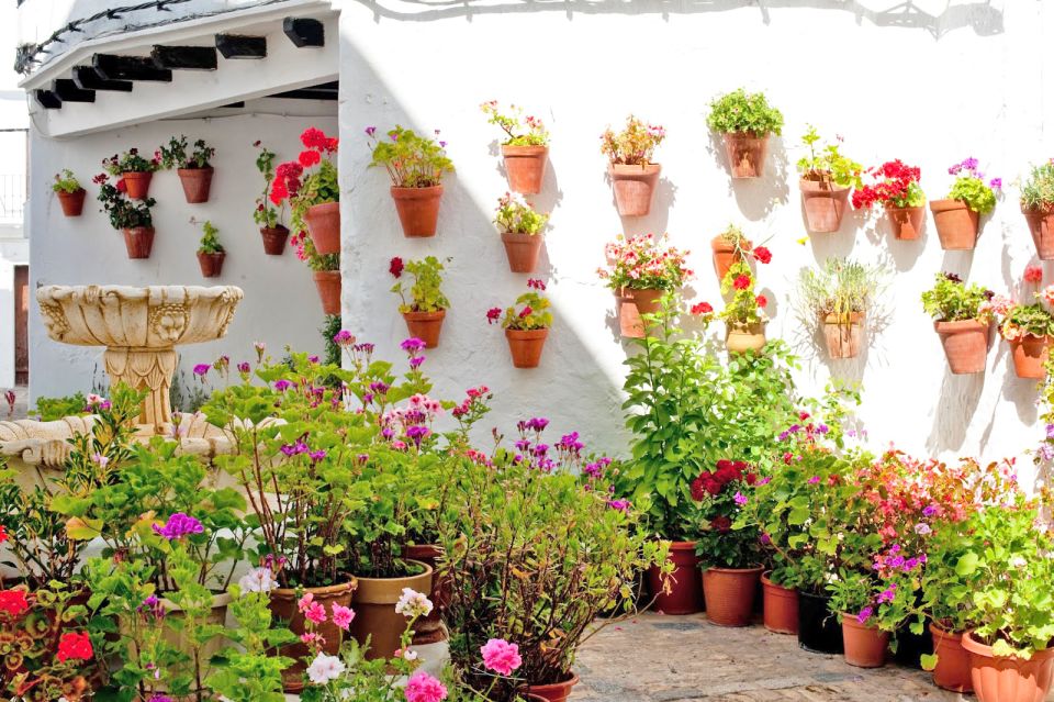 Private Day Trip From Cádiz: Vejer De La Frontera & Bolonia - Key Points