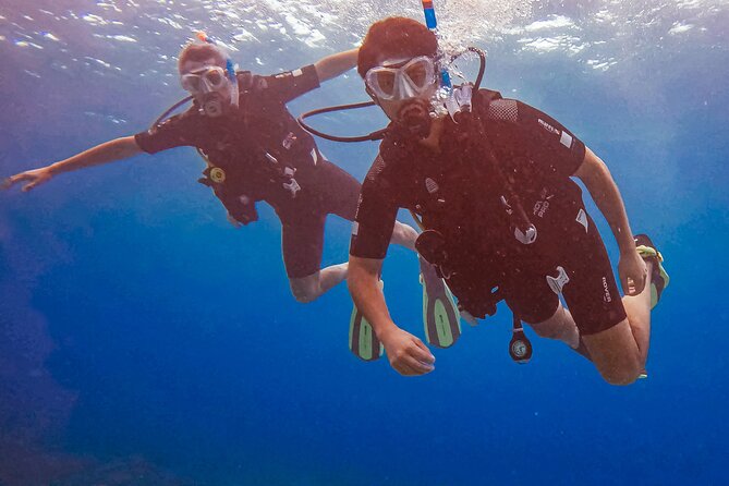 Private Discover Scuba Dive Experience in Curaçao - Experience Overview