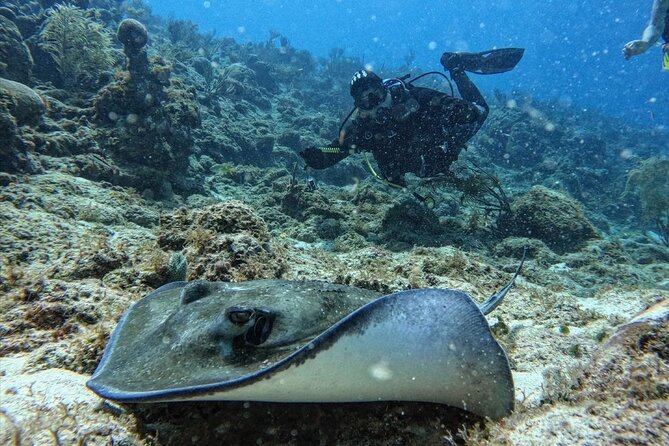 Private Diving Experience for Beginners in San Andres Islands - Key Points