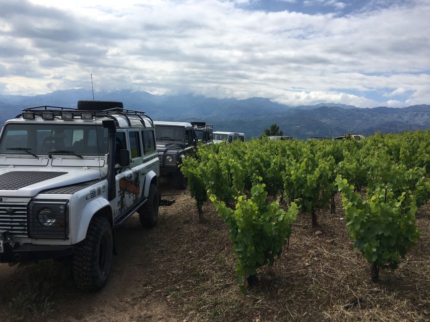 Private Exclusive Manousakis Winery and Vineyard Tour - Key Points
