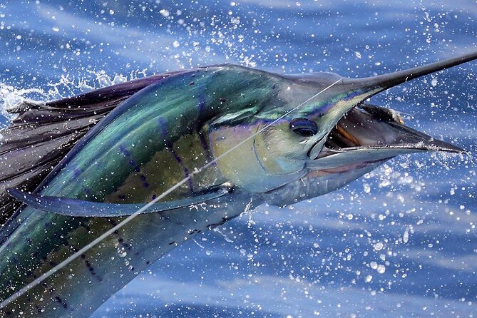 Private Fishing & Boat Cruising Charters in St Kitts and Nevis - Key Points
