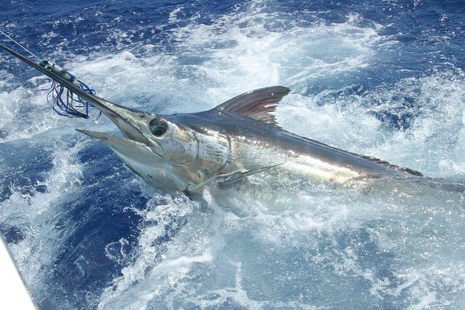 Private Fishing in St Lucia Charters - Overview of Private Charters