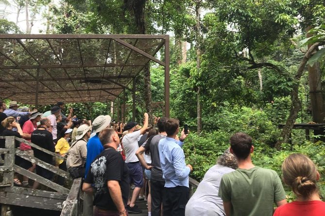 Private Full Day Sepilok Orang Utan, Bornean Sun Bear and Rainforest Discovery Center Tour - Included in Tour