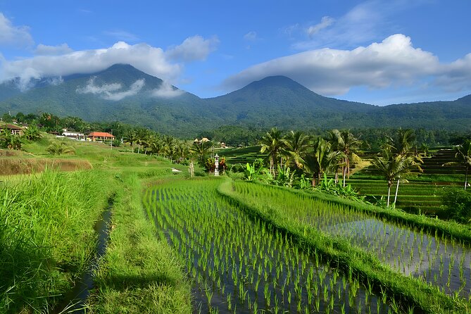 Private Full-Day Tour: Ulun Danu Beratan Temple, Jatiluwih and Tanah Lot Temple - Included in the Tour